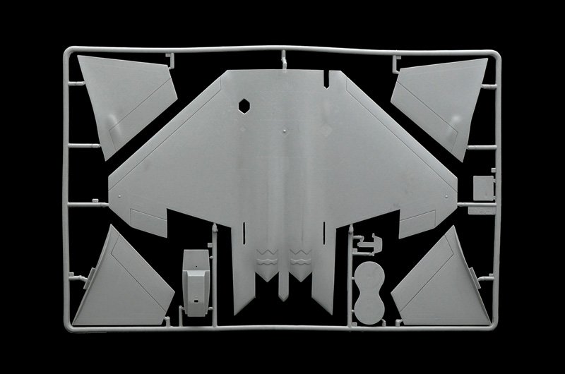 850 - F - 22 RAPTOR (1 : 48) - Imagem 5