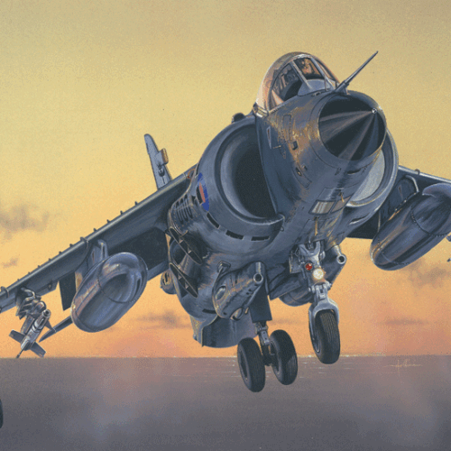 1236 FRS.1 Sea Harrier (1 : 72)