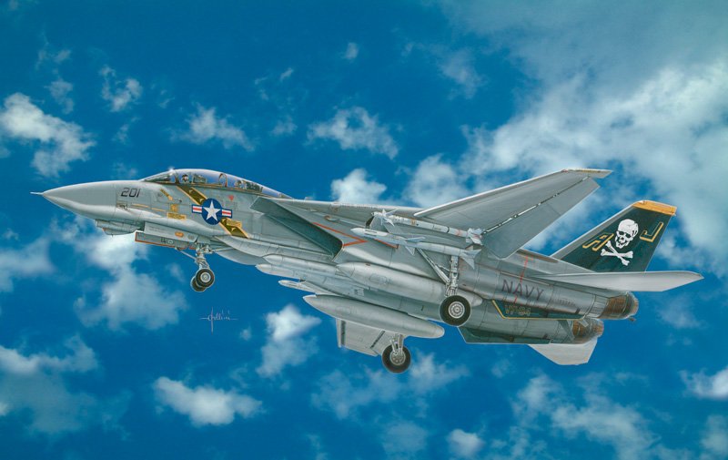 2667 - F - 14 A TOMCAT