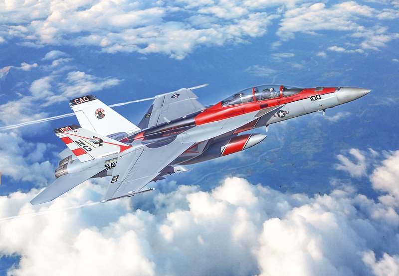 2823 - F/A-18F Super Hornet U.S. Navy Special Colors